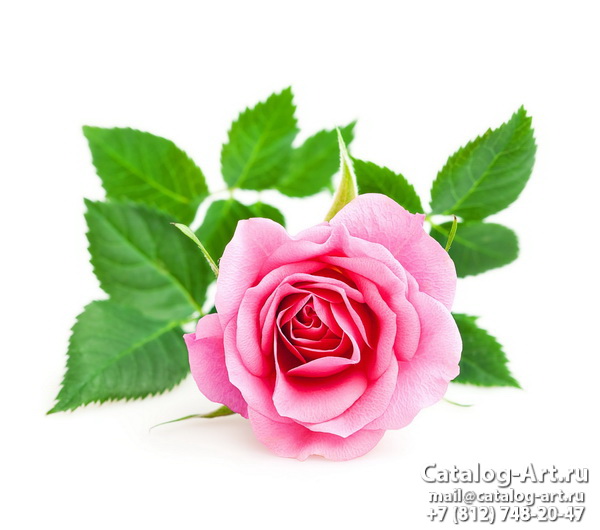 Натяжные потолки с фотопечатью - Розовые розы 50